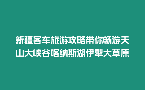 新疆客車旅游攻略帶你暢游天山大峽谷喀納斯湖伊犁大草原