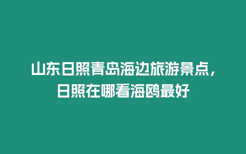 山東日照青島海邊旅游景點，日照在哪看海鷗最好