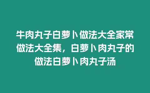 牛肉丸子白蘿卜做法大全家常做法大全集，白蘿卜肉丸子的做法白蘿卜肉丸子湯