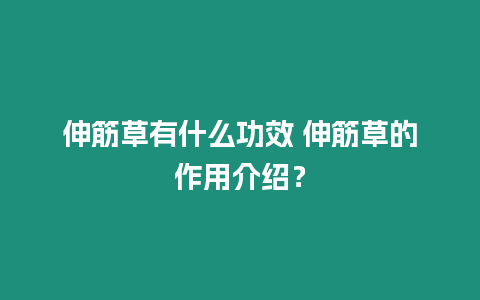 伸筋草有什么功效 伸筋草的作用介紹？