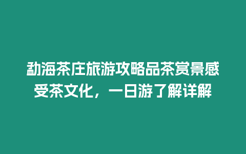 勐海茶莊旅游攻略品茶賞景感受茶文化，一日游了解詳解