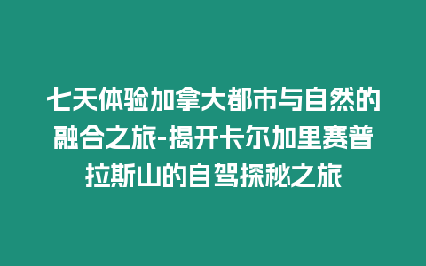 七天體驗加拿大都市與自然的融合之旅-揭開卡爾加里賽普拉斯山的自駕探秘之旅