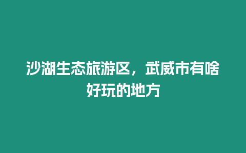 沙湖生態(tài)旅游區(qū)，武威市有啥好玩的地方