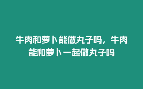 牛肉和蘿卜能做丸子嗎，牛肉能和蘿卜一起做丸子嗎