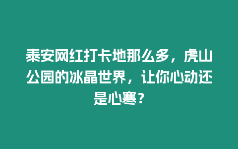 泰安網紅打卡地那么多，虎山公園的冰晶世界，讓你心動還是心寒？