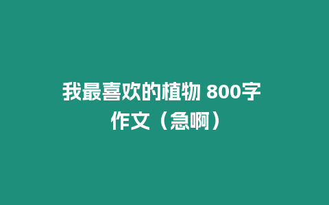 我最喜歡的植物 800字 作文（急啊）