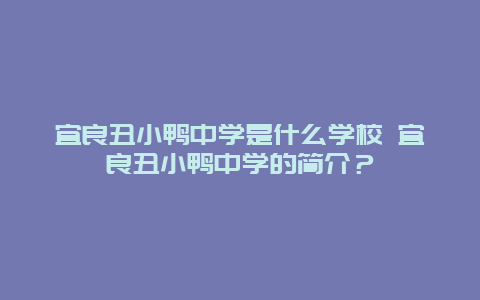 宜良丑小鴨中學(xué)是什么學(xué)校 宜良丑小鴨中學(xué)的簡(jiǎn)介？