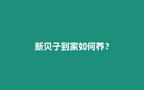 新貝子到家如何養？