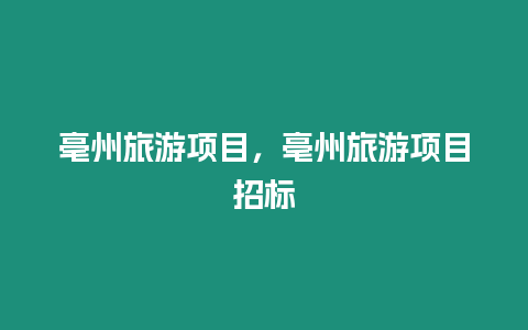 亳州旅游項目，亳州旅游項目招標