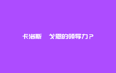 卡洛斯?戈恩的領導力？