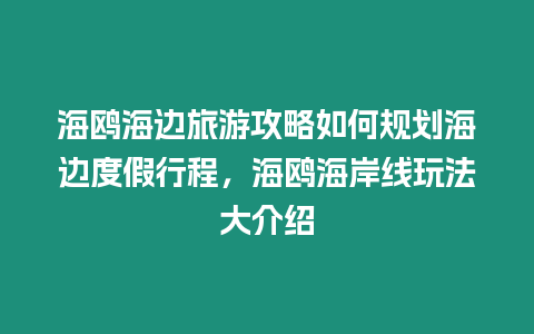 海鷗海邊旅游攻略如何規劃海邊度假行程，海鷗海岸線玩法大介紹