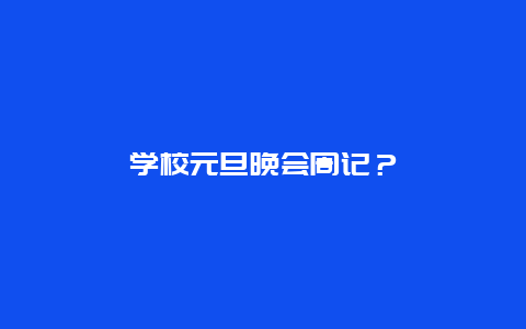 學校元旦晚會周記？