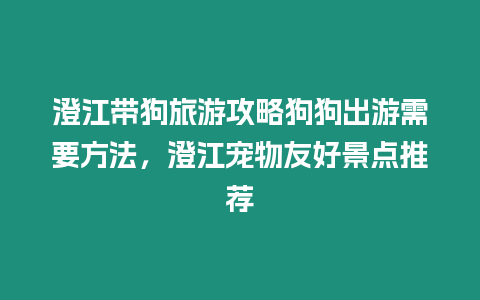 澄江帶狗旅游攻略狗狗出游需要方法，澄江寵物友好景點推薦