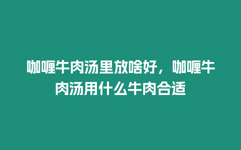 咖喱牛肉湯里放啥好，咖喱牛肉湯用什么牛肉合適