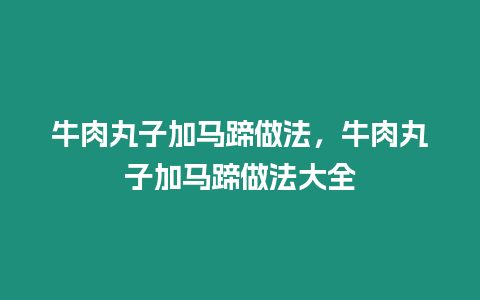 牛肉丸子加馬蹄做法，牛肉丸子加馬蹄做法大全