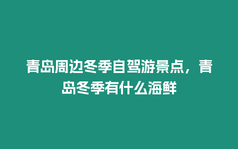 青島周邊冬季自駕游景點(diǎn)，青島冬季有什么海鮮