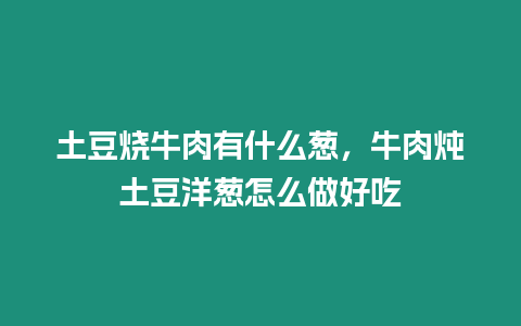 土豆燒牛肉有什么蔥，牛肉燉土豆洋蔥怎么做好吃