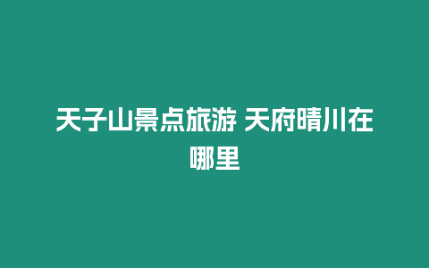 天子山景點旅游 天府晴川在哪里