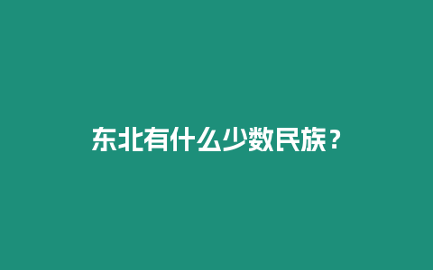 東北有什么少數民族？