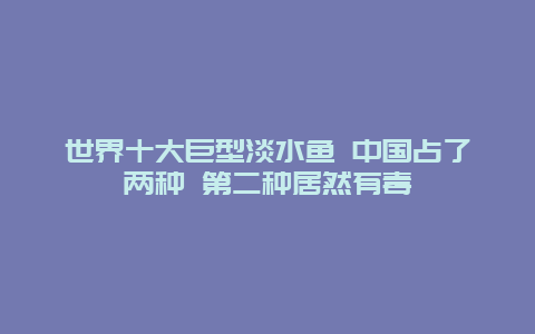 世界十大巨型淡水魚 中國占了兩種 第二種居然有毒