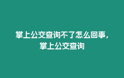 掌上公交查詢不了怎么回事，掌上公交查詢