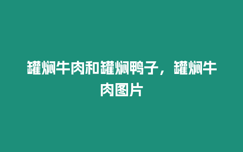 罐燜牛肉和罐燜鴨子，罐燜牛肉圖片