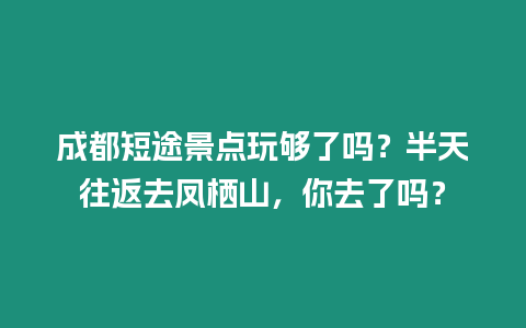 成都短途景點玩夠了嗎？半天往返去鳳棲山，你去了嗎？