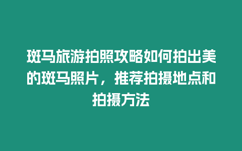 斑馬旅游拍照攻略如何拍出美的斑馬照片，推薦拍攝地點和拍攝方法