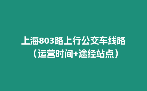 上海803路上行公交車線路（運營時間+途經站點）