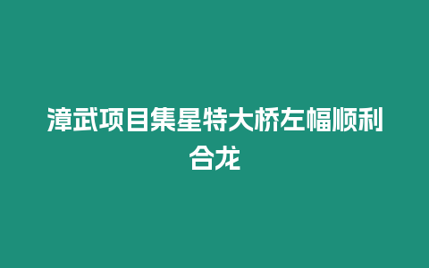 漳武項目集星特大橋左幅順利合龍