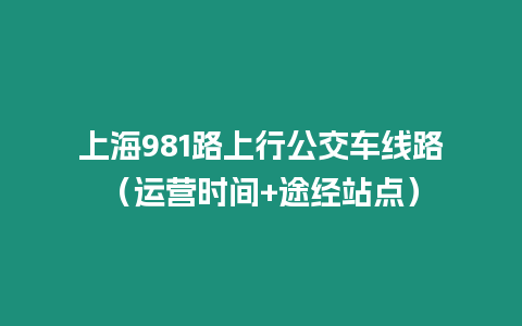 上海981路上行公交車(chē)線(xiàn)路（運(yùn)營(yíng)時(shí)間+途經(jīng)站點(diǎn)）