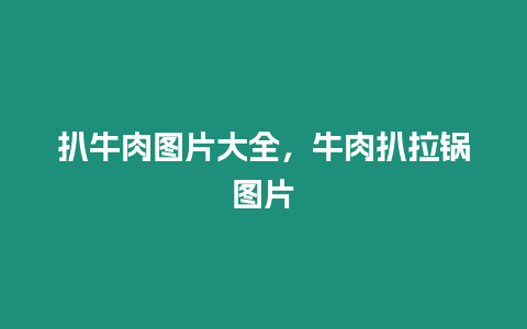 扒牛肉圖片大全，牛肉扒拉鍋圖片