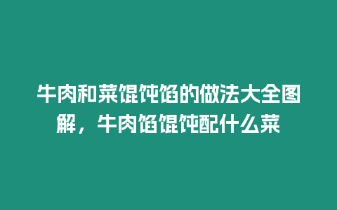 牛肉和菜餛飩餡的做法大全圖解，牛肉餡餛飩配什么菜