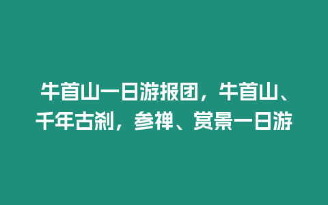 牛首山一日游報團，牛首山、千年古剎，參禪、賞景一日游