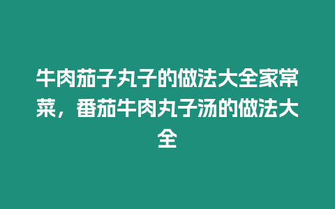 牛肉茄子丸子的做法大全家常菜，番茄牛肉丸子湯的做法大全