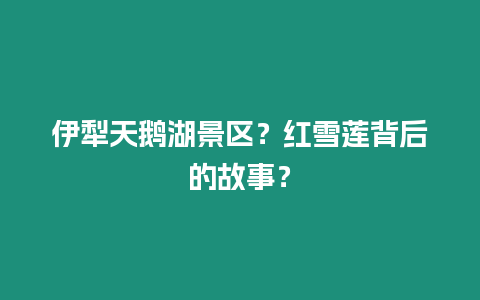 伊犁天鵝湖景區？紅雪蓮背后的故事？