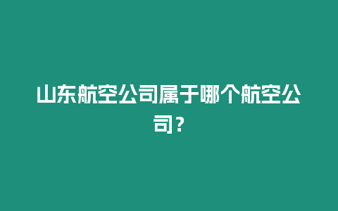 山東航空公司屬于哪個航空公司？