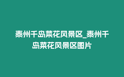 泰州千島菜花風景區_泰州千島菜花風景區圖片