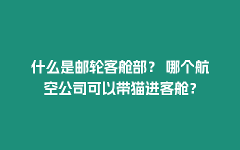 什么是郵輪客艙部？ 哪個航空公司可以帶貓進客艙？