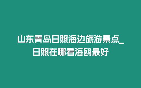 山東青島日照海邊旅游景點_日照在哪看海鷗最好