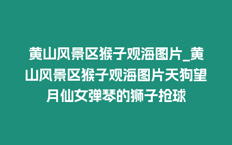 黃山風(fēng)景區(qū)猴子觀海圖片_黃山風(fēng)景區(qū)猴子觀海圖片天狗望月仙女彈琴的獅子搶球