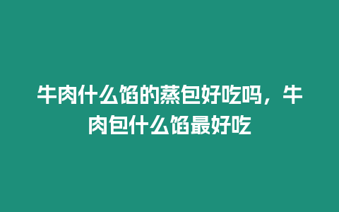 牛肉什么餡的蒸包好吃嗎，牛肉包什么餡最好吃