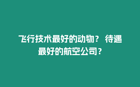 飛行技術最好的動物？ 待遇最好的航空公司？