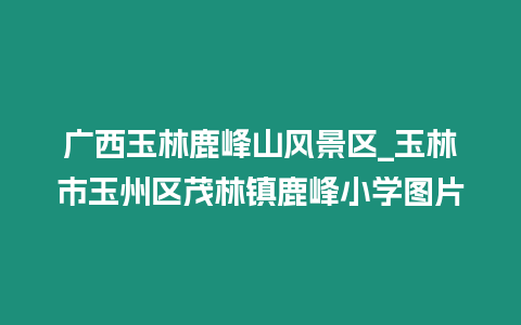 廣西玉林鹿峰山風景區_玉林市玉州區茂林鎮鹿峰小學圖片