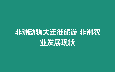 非洲動物大遷徙旅游 非洲農業發展現狀