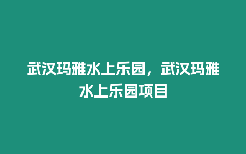 武漢瑪雅水上樂園，武漢瑪雅水上樂園項目