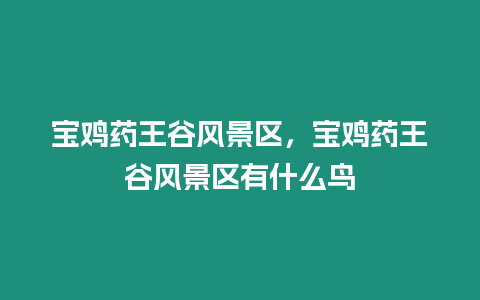 寶雞藥王谷風景區，寶雞藥王谷風景區有什么鳥