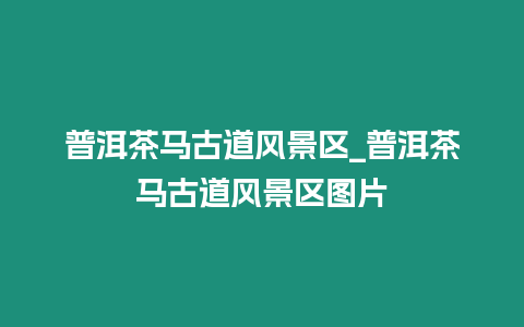 普洱茶馬古道風景區_普洱茶馬古道風景區圖片