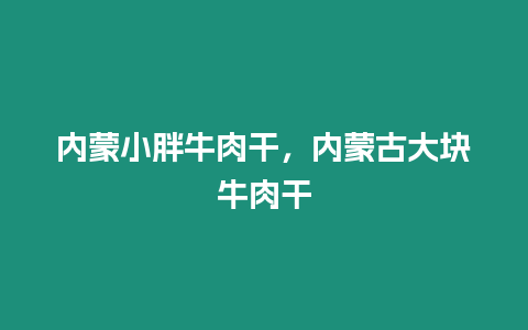 內蒙小胖牛肉干，內蒙古大塊牛肉干