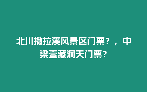 北川撒拉溪風景區門票？，中梁壹藏洞天門票？